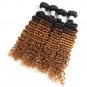 Ombre Deep Wave 4 Bundles Human Hair Extensions Real Human Hair Curly Bundles We