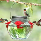 Mason Jar Hummingbird Feeder for Outdoors Hanging, Glass Humming Bird Feeders wi