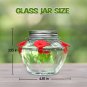 Mason Jar Hummingbird Feeder for Outdoors Hanging, Glass Humming Bird Feeders wi