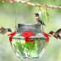 Mason Jar Hummingbird Feeder for Outdoors Hanging, Glass Humming Bird Feeders wi