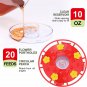 Hummingbird Feeder - Hummingbird Feeders for Outdoors Hanging, Plastic Saucer Fe
