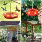 Hummingbird Feeder - Hummingbird Feeders for Outdoors Hanging, Plastic Saucer Fe
