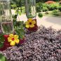 Mini Hummingbird Feeder 4 Pack Small Hummingbird Feeders for Outdoor 2.3Oz