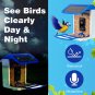 – Smart Bird Feeder with Camera, 1080P HD Bird Watching Camera, AI Bird Watching