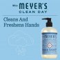 Mrs. Meyer'S Hand Soap, Made with Essential Oils, Biodegradable Formula, Rain Wa