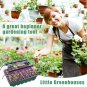 2Pcs Seed Starter Trays with Humidity Domes 96 Cells Seedling Starter Kit with A