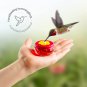 Handheld Small Glass Hummingbird Feeders (Set of 2) with Window Suction Mount Ba