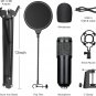 USB Condenser Microphone, Plug & Play Professional Cardioid Studio Mic Kit Shock