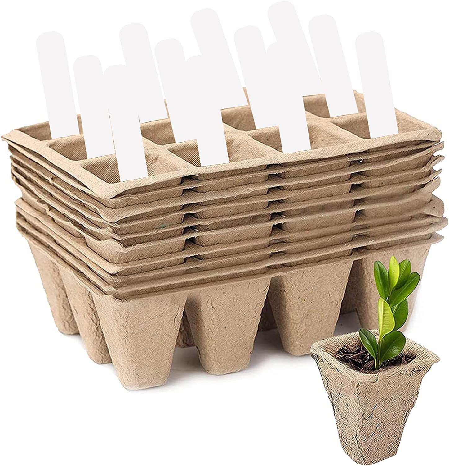 10 Pack Seed Starter Kit, 120Cell Compostable Planter Nursery Pots ...