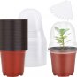 Plant Nursery Pots with Humidity Dome 4" Soft Transparent Plastic Gardening Pot