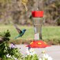 Outdoor Hummingbird Feeder Made from Glass, Humming Bird Feeders for Outdoors Ha