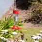 Outdoor Hummingbird Feeder Made from Glass, Humming Bird Feeders for Outdoors Ha