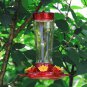 Hummingbird Feeder, 10 Onces Fluid Flower Bird Feeder for Outdoors (Red and Yell