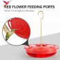 Hummingbird Feeder for Outdoors Hanging, 2 Pack, Leak-Proof, Easy to Clean and R