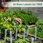 10 Set Seedling Trays Seed Starter Kit, 60 Large Cells Mini Propagator Plant Gro