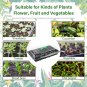 5 Set Seed Starter Trays with Humidity Dome, 200 Cell Grow Trays Seedlings Plant