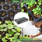 5 Set Seed Starter Trays with Humidity Dome, 200 Cell Grow Trays Seedlings Plant