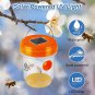 Wasp Traps for Hunting Wasps, Bees, Hornets, Insects, Yellow Jacket Traps, Wasp