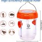 Wasp Traps for Hunting Wasps, Bees, Hornets, Insects, Yellow Jacket Traps, Wasp