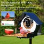 Smart Bird Feeder with Camera, AI Identify Bird Feeder Camera with Solar Pannel,