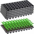 250 Cells 20×10 Inch Seedling Plug Trays - 5 PCS 54X28Cm Reusable Seed Starter C