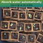 160Cells Seedling Start Trays with Drain Holes,10Pcs Peat Pots Seedling Pots Bio