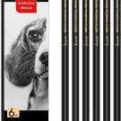 Professional Charcoal Pencils Drawing Set 6 Pieces (Ex-Soft, Soft, Medium, & Har