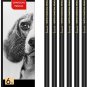 Professional Charcoal Pencils Drawing Set 6 Pieces (Ex-Soft, Soft, Medium, & Har