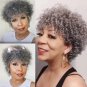 Grey Wig for Women Afro Kinky Curly Human Hair Wig Black Grey Wig Glueless Grey