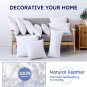 100% Cotton Stuffer Throw Pillow Insert, Square down and Feather Filled Decorati
