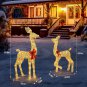 2-Piece Lighted Christmas Deer Family, Artificial Christmas Decoration,Outdoor Y