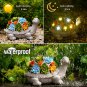 Nacome Solar Garden Outdoor Statues Turtle with Succulent and 7 LED Lights - Law