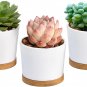 Succulent Pots 3 Pack, 3.15 Inch Small Plastic Succulent Pots with Drainage, Whi