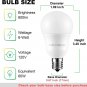 E17 Intermediate Base LED Bulb, 6W (60 Watt Equivalent) G14 Globe Ceiling Fan Li