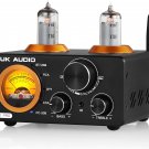 ST-01 PRO 200W Bluetooth Amplifier, 2 Channel Vacuum Tube Power Amp with USB Dac