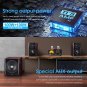 ST-01 PRO 200W Bluetooth Amplifier, 2 Channel Vacuum Tube Power Amp with USB Dac