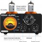 ST-01 PRO 200W Bluetooth Amplifier, 2 Channel Vacuum Tube Power Amp with USB Dac