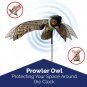 Prowler Fake Owl Moving Wings-Realistic Bird Scare, Hawk, Pigeon, and Squirrel R