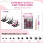 Lash Clusters, 40D-0.07-C Curl 8-16 Mix Diy Lash Lift Kit, Individual Lashes 144