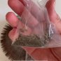 Snuffle Paw Accordion for Cats - Magic Organ Cat Scratching Board - Interactive