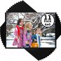 Magnetic Photo Sleeves Refrigerator Magnets, Black, 4 X 6-Inch, 11 Pack