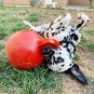Tug-N-Toss Dog Toy Ball with Handle, 10" XL, Red