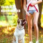 Prong Dog Training Collar Stainless Steel Pet Pinch anti Pull Collar for Dogs 22