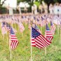 250 Pack Small American Flags on Stick 8X12 Inch Mini American Flag US Hand Held