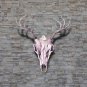 3 Pack of European Skull Wall Mount Bracket Hangers for Deer Mule Antelope Coyot