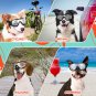 Dog Goggles Large Breed, Large Dog Sunglasses Eye Protection for Dogs Windproof