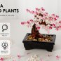 Cherry Blossom Tree Building Set,3 in 1 Sakura Bonsai,Diy Plant Model for Adults
