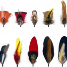 Hat Feathers for Fedora 10 Pcs Men Women Cowboy Hats Pins Assorted Color Crafts