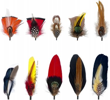 Hat Feathers for Fedora 10 Pcs Men Women Cowboy Hats Pins Assorted Color Crafts