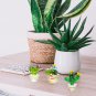 3Pcs Mini Hand Blown Glass Cactus Figurine Miniature Collectibles Glass Statue S